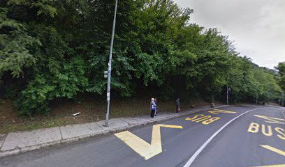 Narodnog heroja Velizara Stankovića