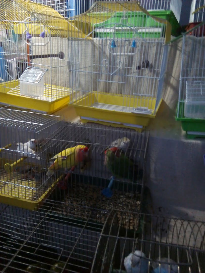 Пијаца Чента