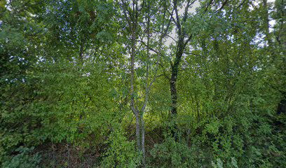 Traditonal Stone Villa for 9 People With Pool in Central Istria