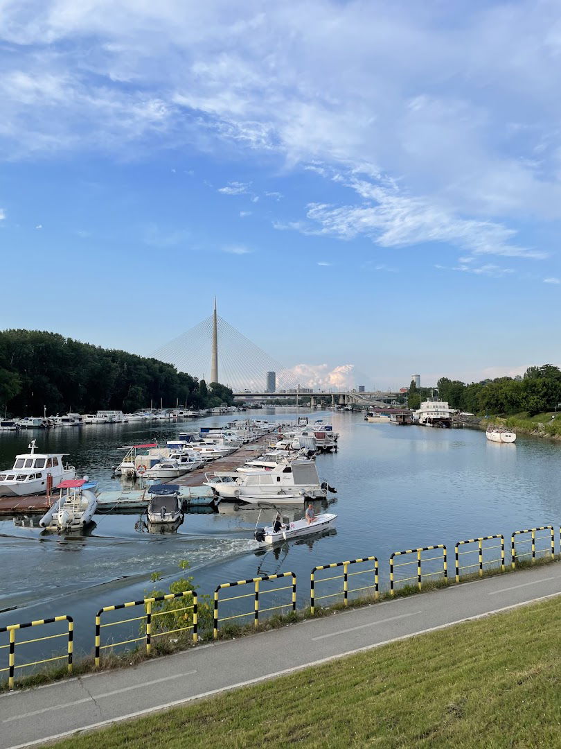 Савски рукавац