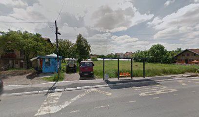 Aleksandra Vojinovića