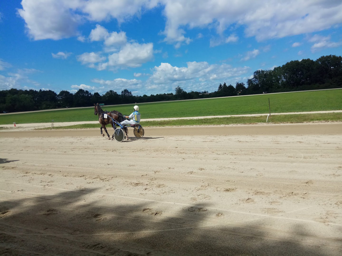 Kasaška zveza Slovenije