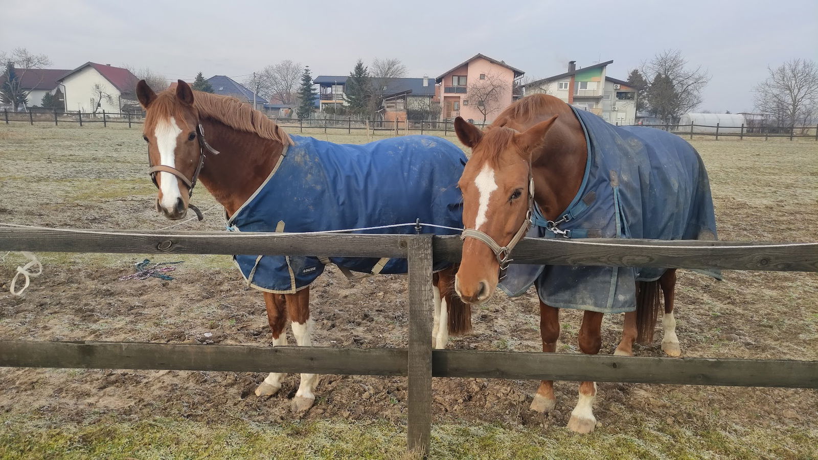 Konjički klub Breza