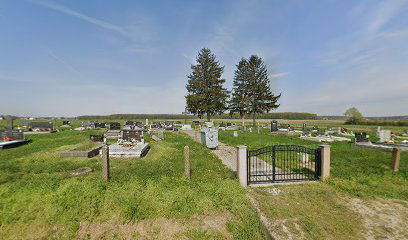 Old cemetery Prgomelje