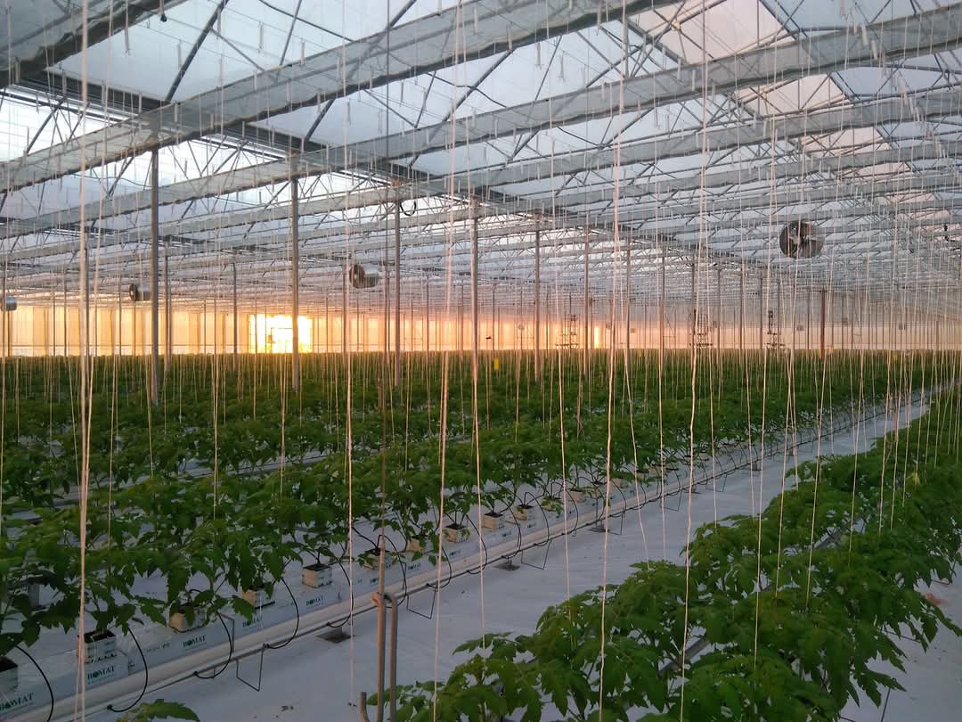 Poljoprivredni obrt Domi vl. Tomislav Špehar