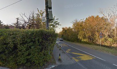 Institut Mihajlo Pupin