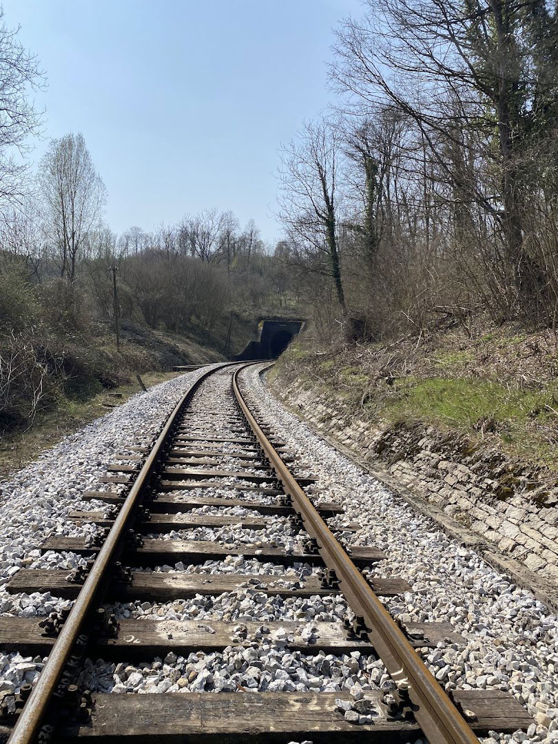 Željeznički tunel Paulovac