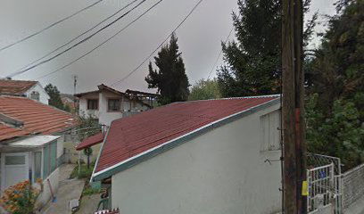 Body Art Association of Serbia