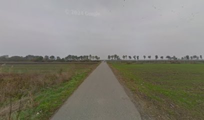 Пренос моштију Светог Стефана