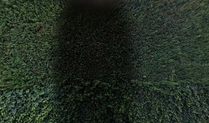 Lory vita njegovatelj TO GO