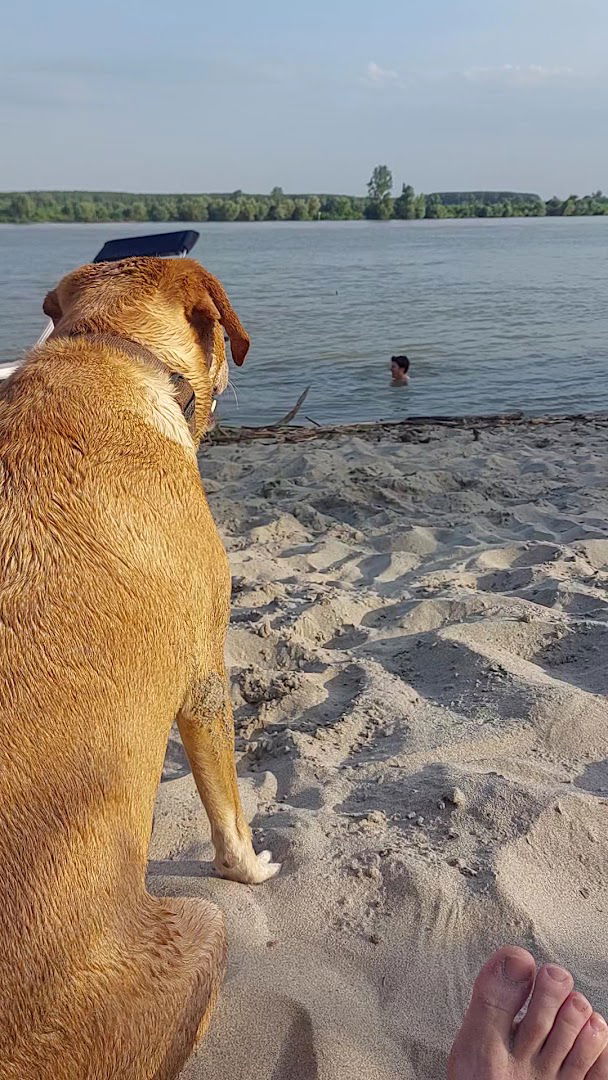 Šljunkara Karin komerc