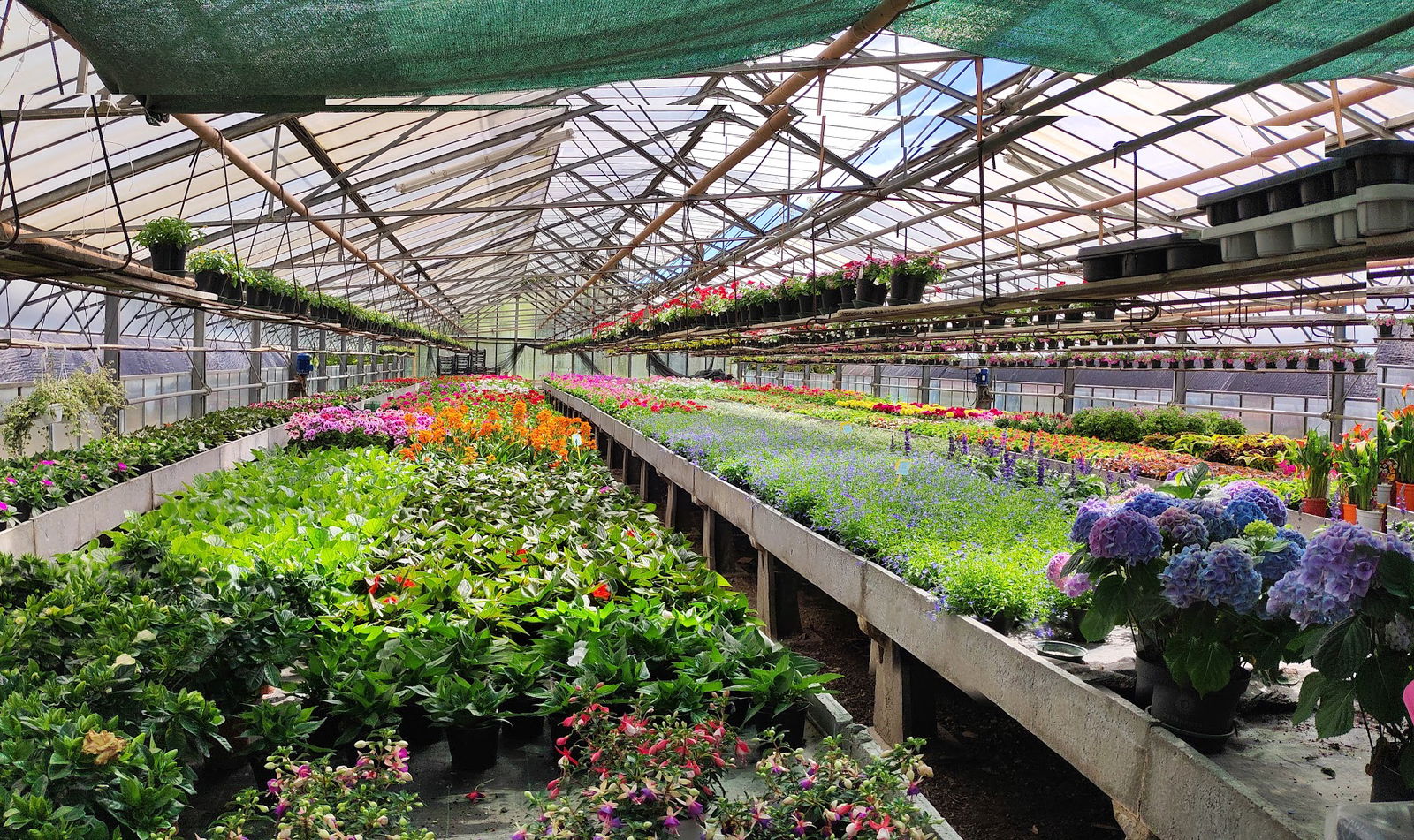 Azienda Agricola Gregorat Gabriele