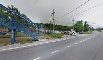 Milutina Miljkovića