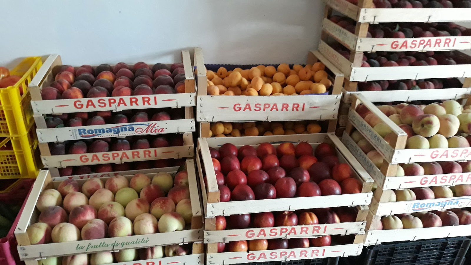 Azienda Agricola Zuttion Cristina