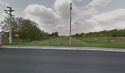 Attorney Marijana Radeka