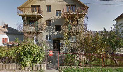 SECENJE I OBARANJE DRVA