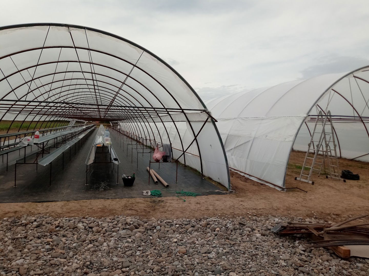 PG Kovacevic Borovnica