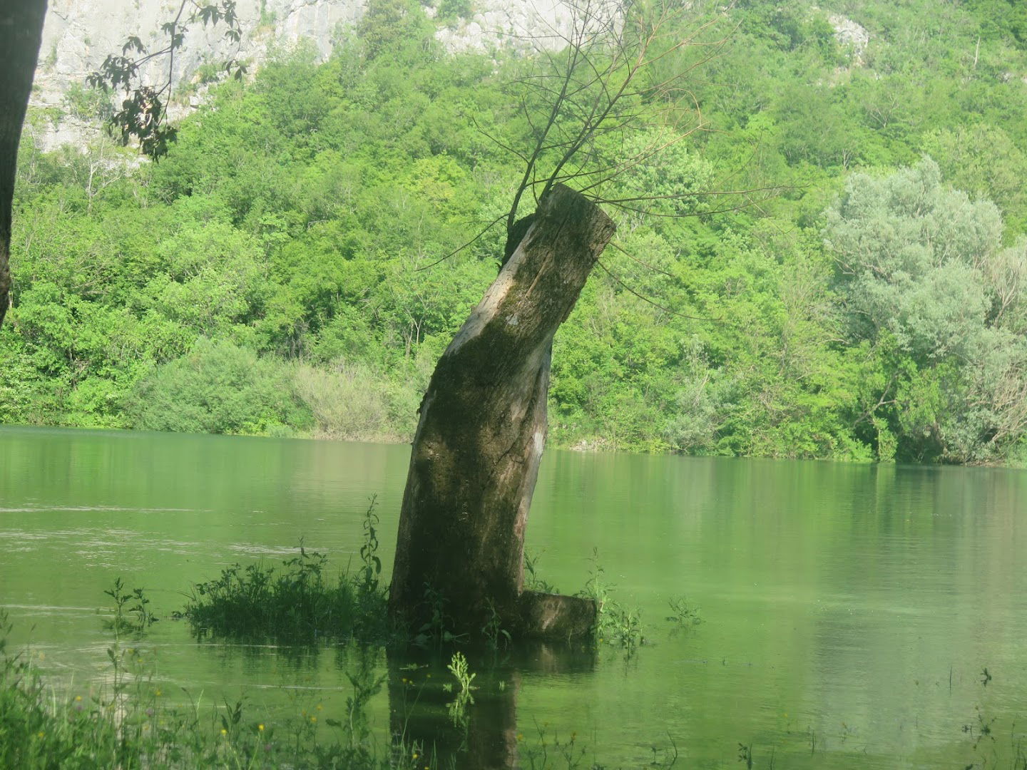 Prančevići Small Hydroelectric Power Plant