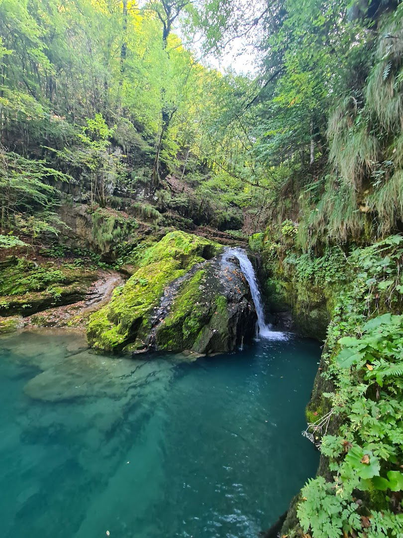 Zeleni Vir, water spring