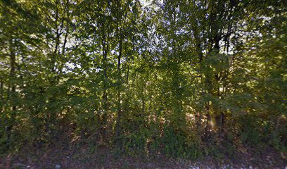 Borojevići cemetery