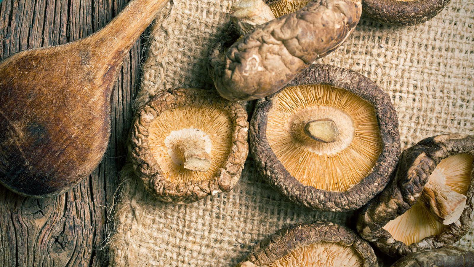 Prodaja Šitaki pečuraka