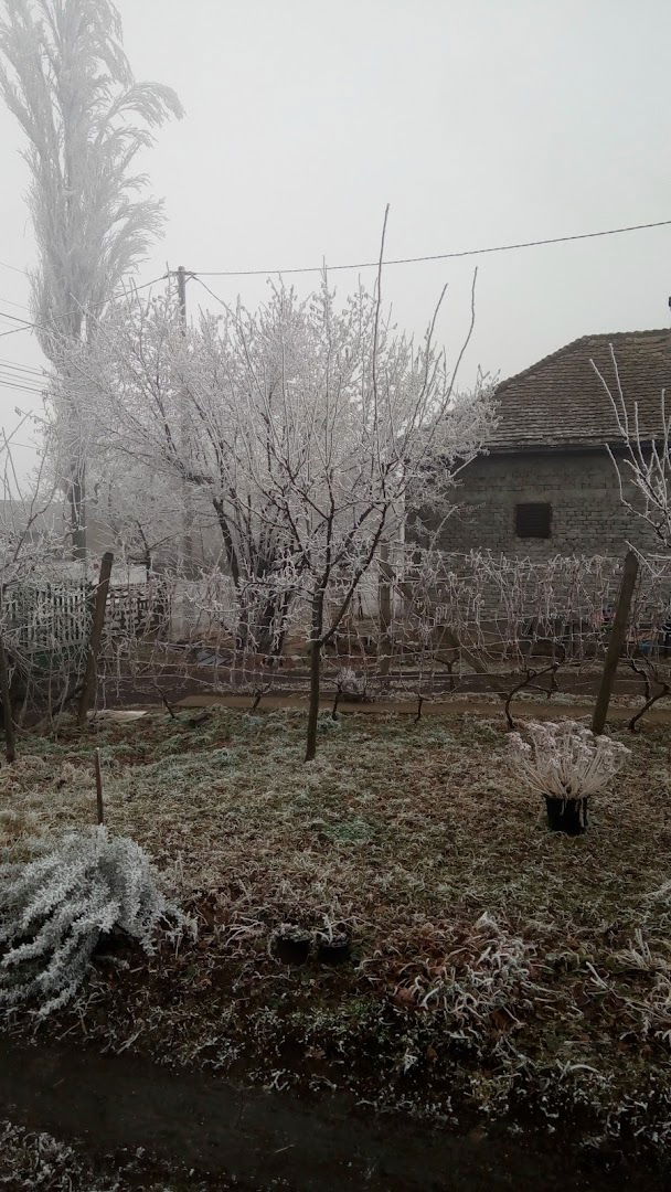 МЗ Пударци ️