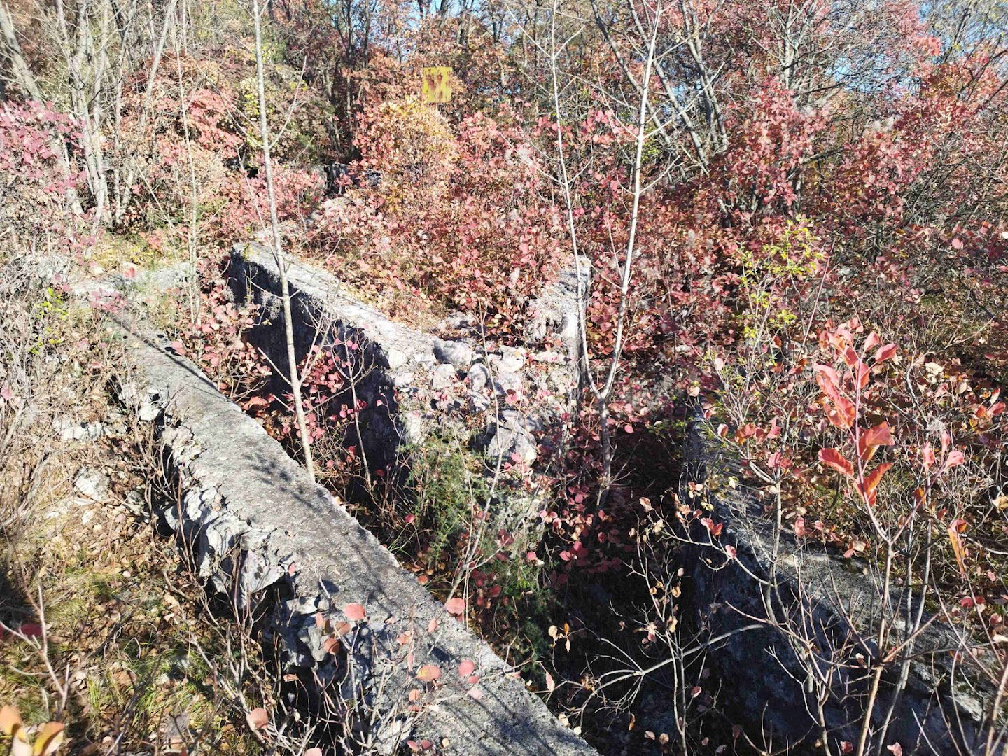 Trincea Austro Ungarica