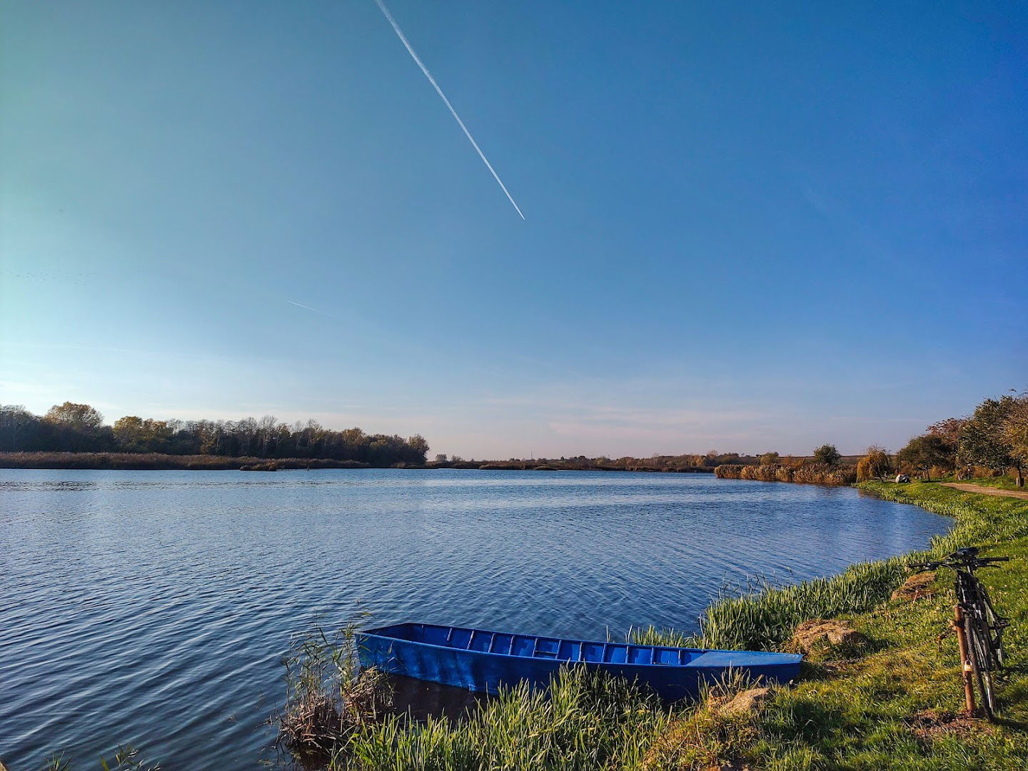 Специјални резерват природе „Краљевац”