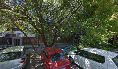 Palmira Toljatija 18