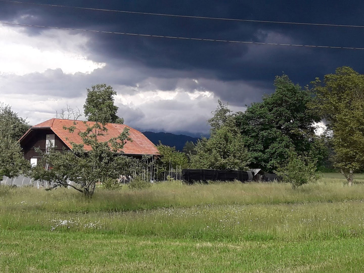 Logistika, transport, Uvoz-Izvoz in trgovina Darko Latas s.p.