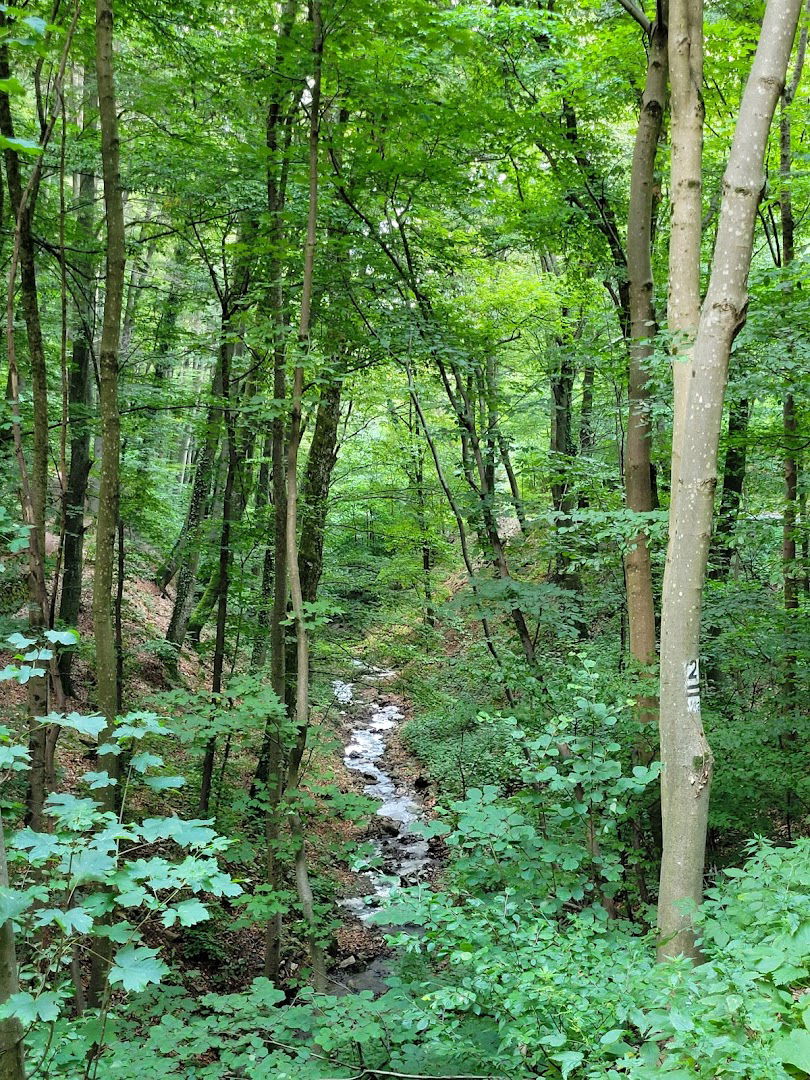 Gračec-Lukovica-Rebar