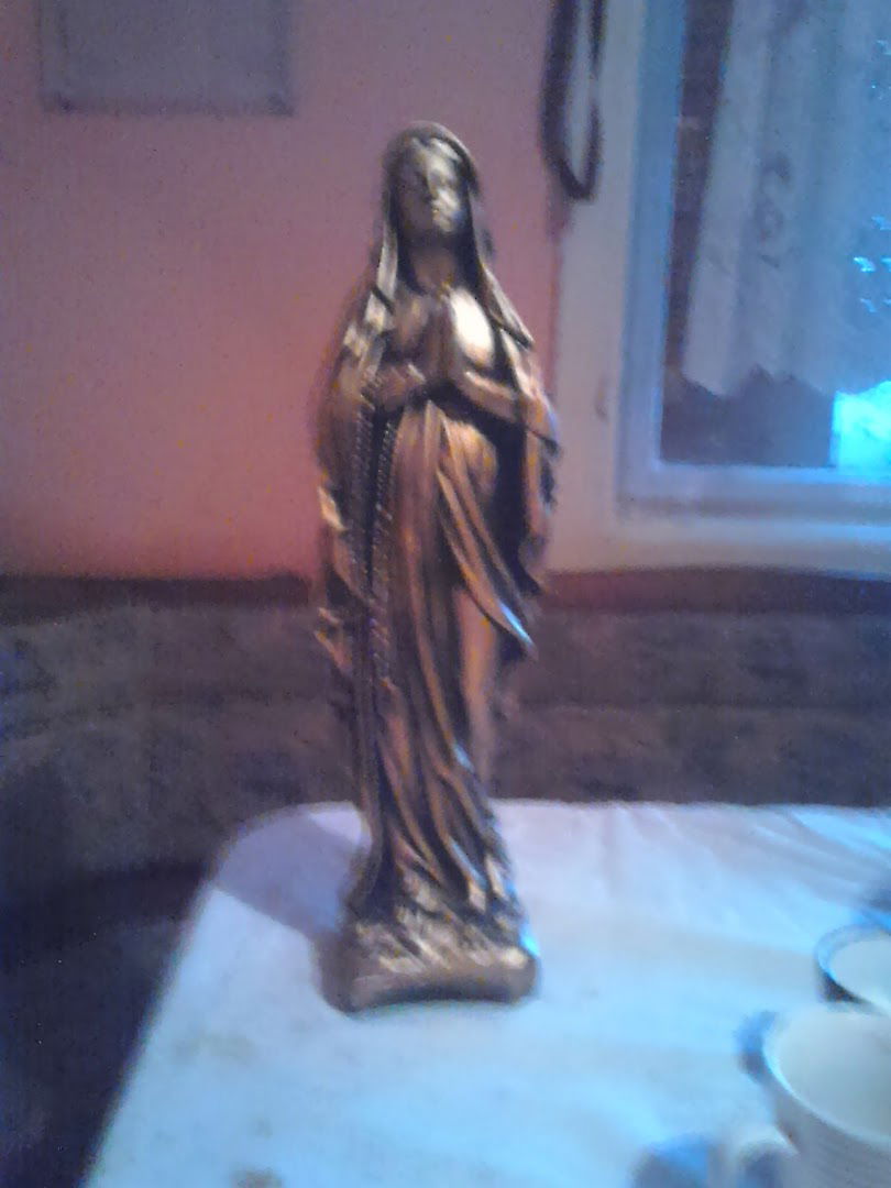 FARMA MLIJEČNIH KRAVA VEDRIŠ