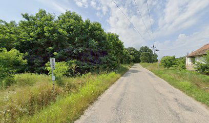 Vajszló, Angyalicpuszta