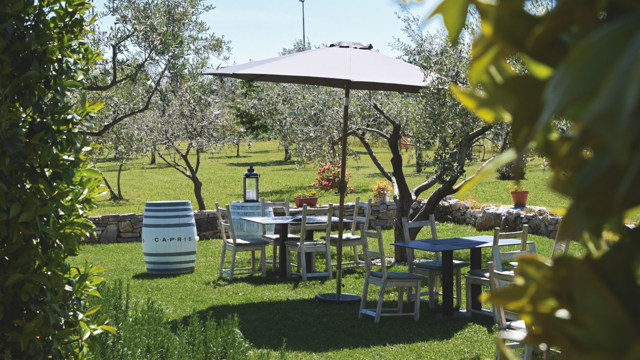 Konoba Bocun, Petrovija