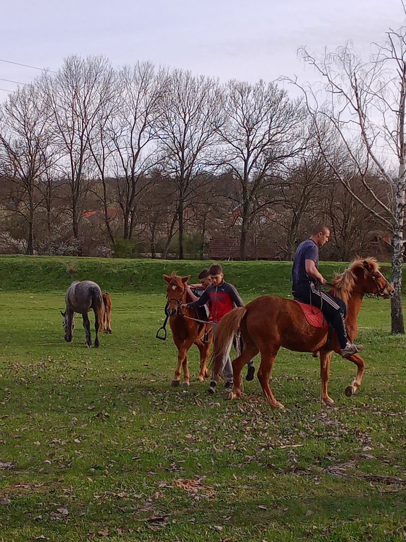 Velika Plana Racecourse