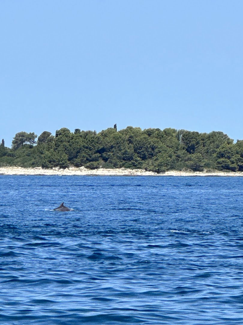 Mandala Art Jewellery