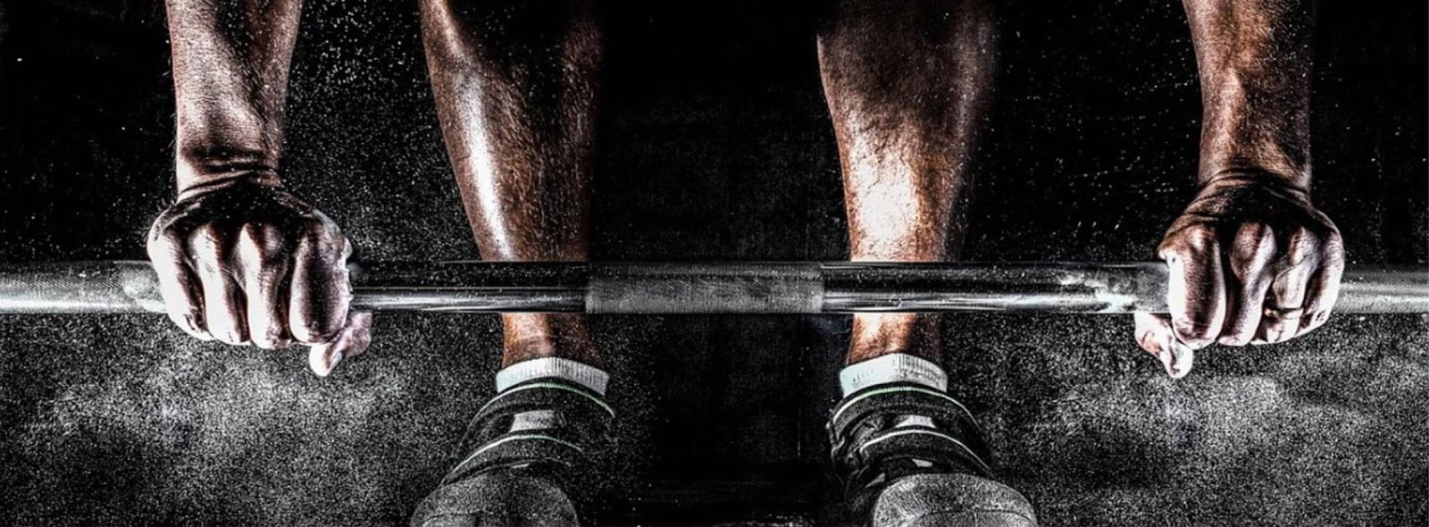 Fitness club CrossForce