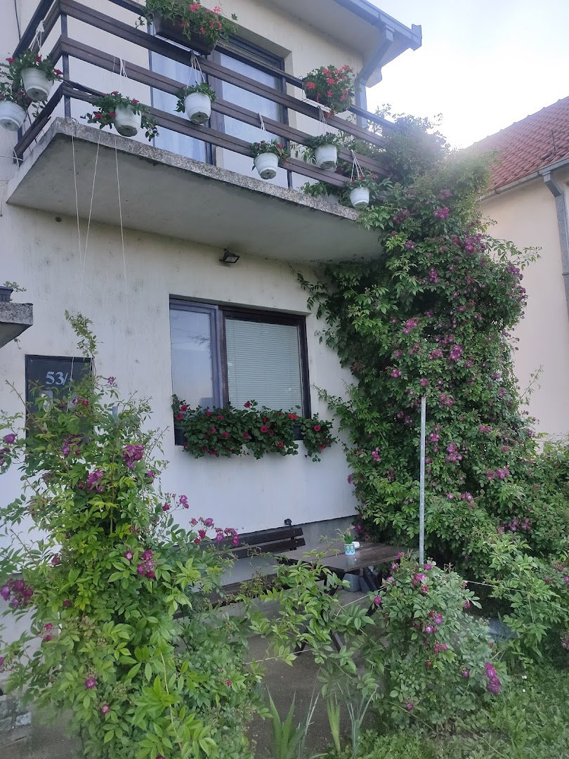 Domaće od Popovića