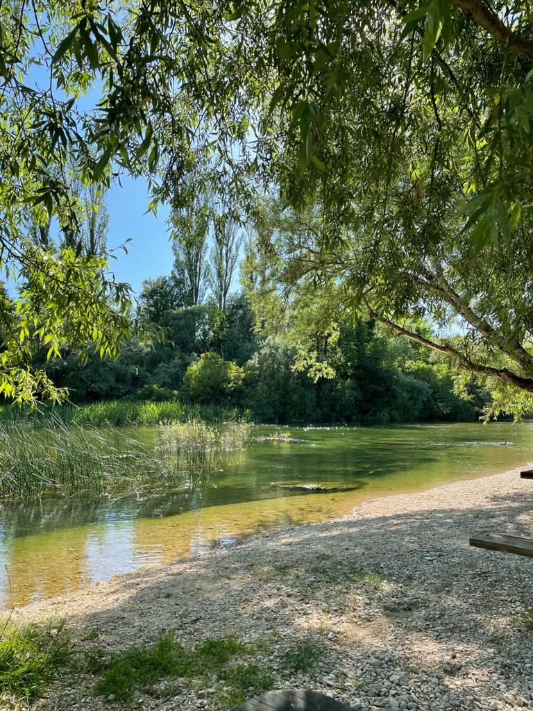 Vacation Apartment Lavender