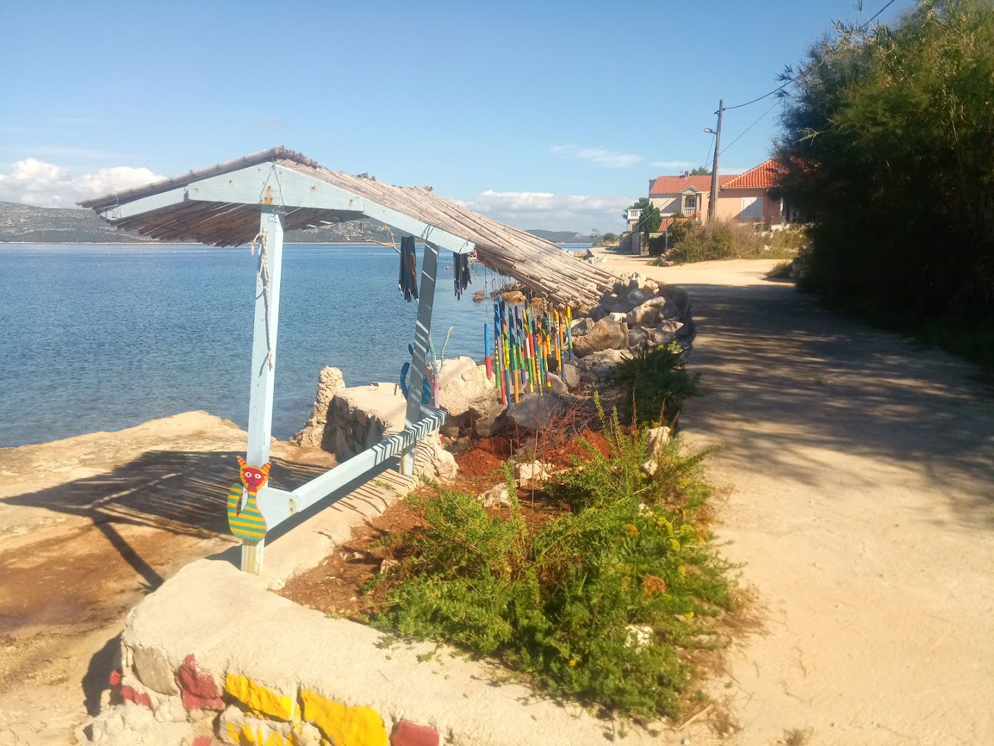 Komoševa "bor" na rivi