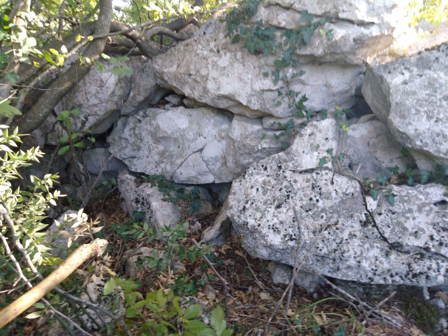 Ilirsko kultno mjesto - megalitska gradina