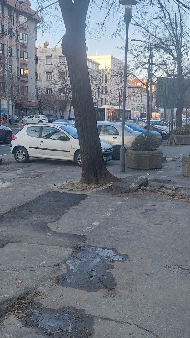 Јавни бележник Марко Дуловић