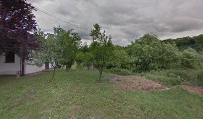 DOBROVOLJNO VATROGASNO DRUSTVO