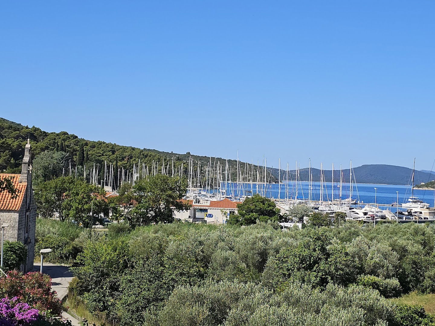 Apartmani Villa Dube Slano