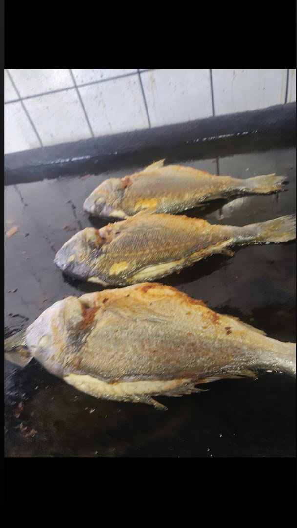 Restoran Delfin—KOD ZMAJEVE ŠKOLE OBRENOVAC