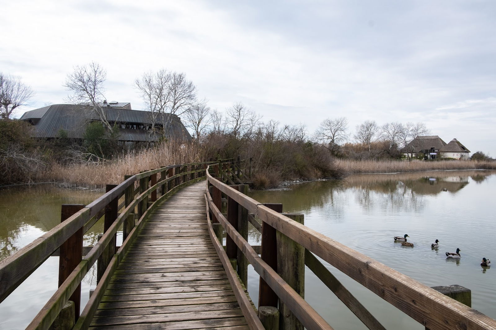 Foresteria Cason Sarsegna