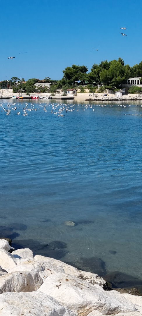 Municipality of Podstrana