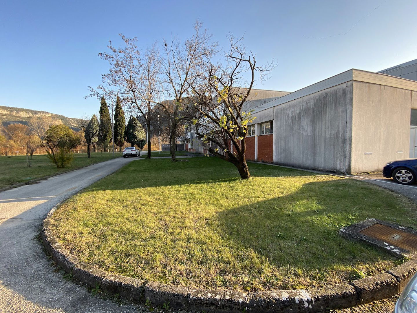 Mališić Export - Import