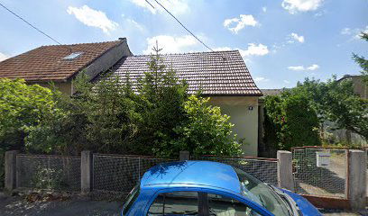 Lutra d.o.o. - veleprodaja umjetnog cvijeća