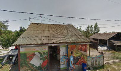 Mala prodavnica kod nikolica